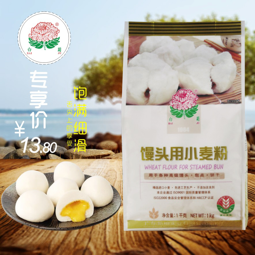 白菊牌 馒头用小麦粉 包点粉